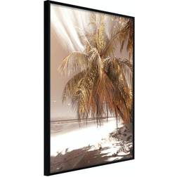 Arkiio Affisch Palm Shadow [Poster] 20x30 Poster